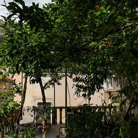 Apartman Jelena Lägenhet Dubrovnik
